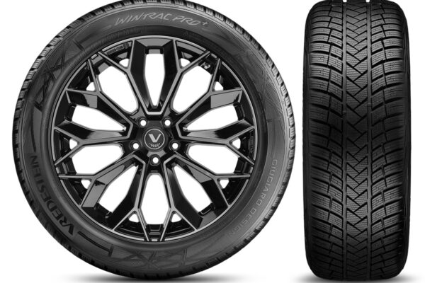 195/55 R 20 95H XL Wintrac Pro+